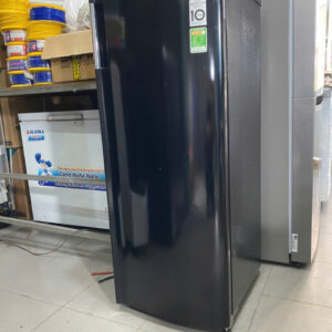 Tủ đông đứng LG 165 lít Inverter GN-F304WB  - FreeShip
