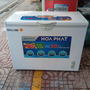 Tủ đông Hòa Phát 252 lít HCF 516S1Đ1 - Free Ship